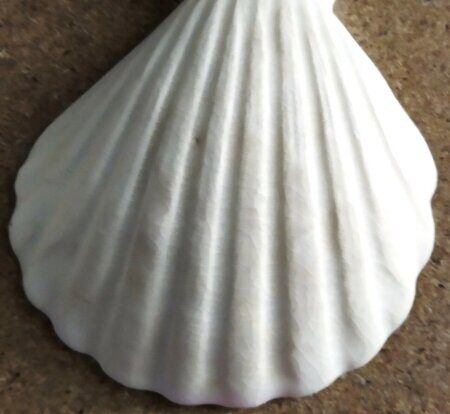 Полива порошкова 930-1000 С