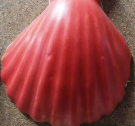 Порошкова полива 1200-1300 С