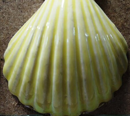 Порошкова полива 1200-1300 С