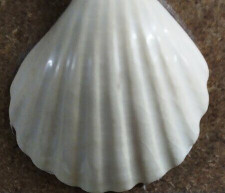 Полива порошкова 1000-1100 С