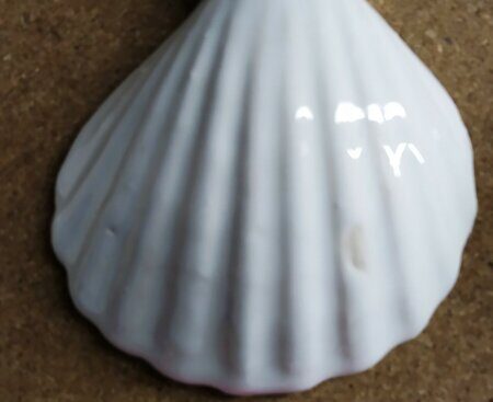 Полива порошкова 930-1000 С