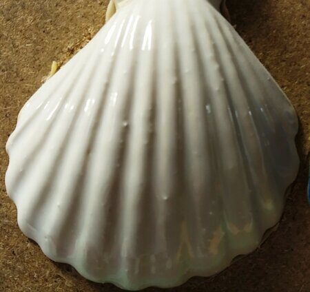 Порошкова полива 1200-1300 С