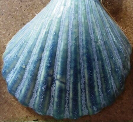 Порошкова полива 1200-1300 С