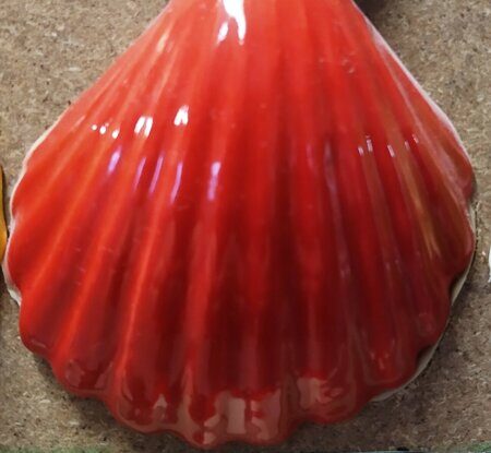 Порошкова полива 1200-1300 С