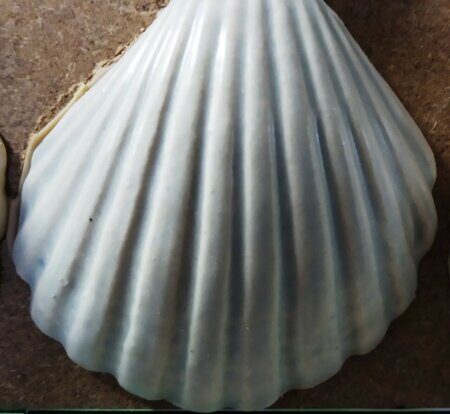 Порошкова полива 1200-1300 С