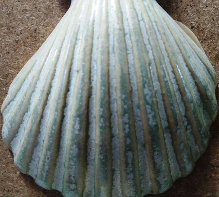 Порошкова полива 1200-1300 С