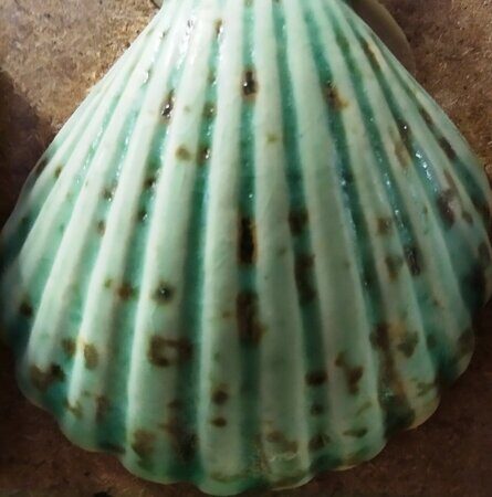 Порошкова полива 1200-1300 С