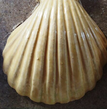 Порошкова полива 1200-1300 С