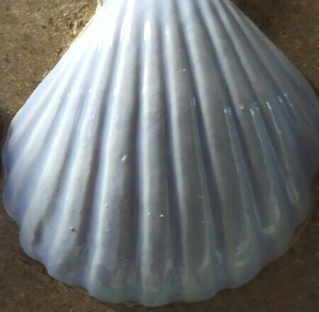 Порошкова полива 1200-1300 С