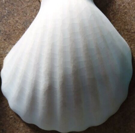 Порошкова полива 1200-1300 С