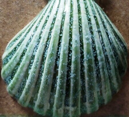 Порошкова полива 1200-1300 С