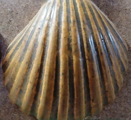 Порошкова полива 1200-1300 С