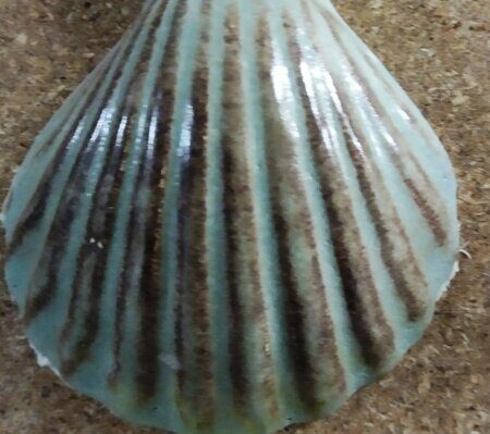 Полива порошкова 1000-1100 С