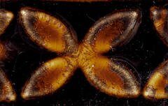 Potter's Choice рідка полива 1180-1250 С