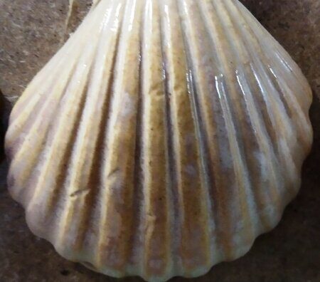 Порошкова полива 1200-1300 С